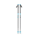 EXPEDITION SKI POLES