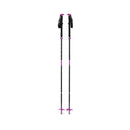 EXPEDITION SKI POLES