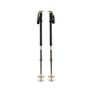 EXPEDITION CARBON PRO SKI PLS