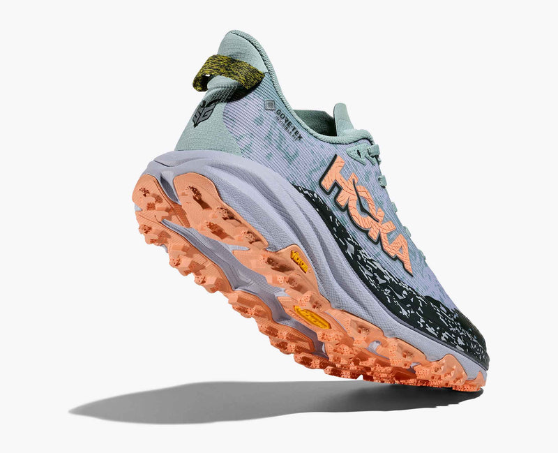 SPEEDGOAT 6 GTX Damen