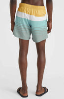 CALI PRINT 15 SWIM SHORTS Herren