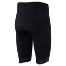 SCOTT ENDURANCE ++ SHORTS Herren
