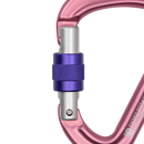 BE SAFE SCREW