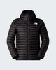 BETTAFORCA LT DOWN HOODIE Herren