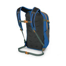 DAYLITE PLUS EARTH 20